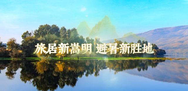 显著降低了, amp, 但集中在